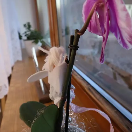 Landhaus-appartements Warraich Διαμέρισμα *