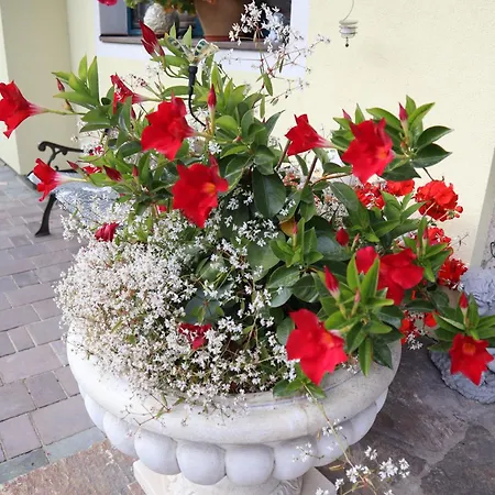 Landhaus-appartements Warraich * Шладмінг