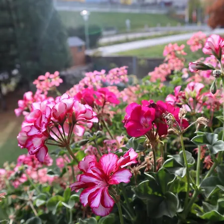 Landhaus-appartements Warraich Апартаменти Шладмінг