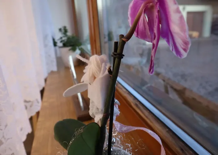 Landhaus-appartements Warraich Apartment *