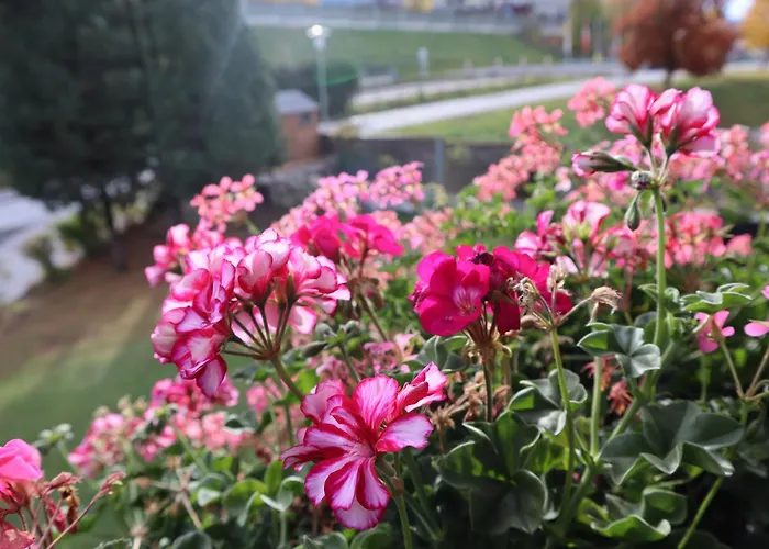 Landhaus-appartements Warraich Apartman Schladming